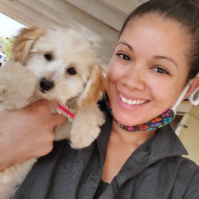 Zee's Dog Grooming